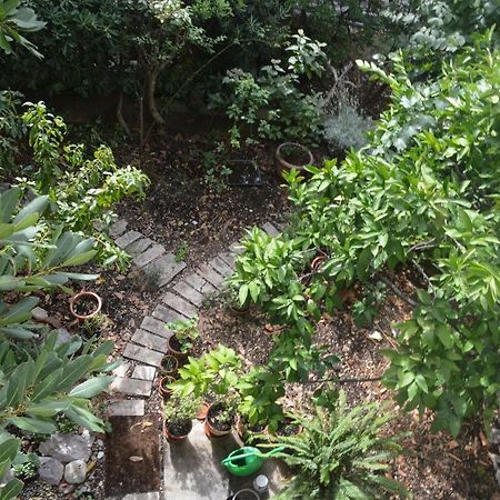 Apartments With A Parking Space Makarska - 11361 Екстериор снимка
