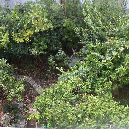 Apartments With A Parking Space Makarska - 11361 Екстериор снимка